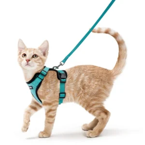 Cat Harness and Leash for Walking, Escape Proof Soft Adjustable